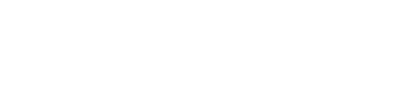 Strong Family Conference